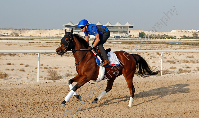 Dream-Castle-0001 
 DREAM CASTLE training for the Bahrain International Trophy
Rashid Equestrian & Horseracing Club, Bahrain, 19 Nov 2020 - Pic Steven Cargill / Racingfotos.com