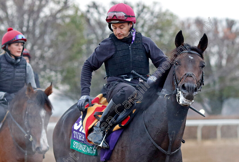 Stone-Age-0002 
 STONE AGE training for the Breeders' Cup Turf
Keeneland USA 2 Nov 2022 - Pic Steven Cargill / Racingfotos.com