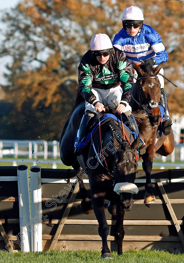 Blueking-d Oroux-0002 
 BLUEKING D'OROUX (right, Harry Cobden) beats STRONG LEADER (left) in The Coral Hurdle
Ascot 25 Nov 2023 - Pic Steven Cargill / Racingfotos.com