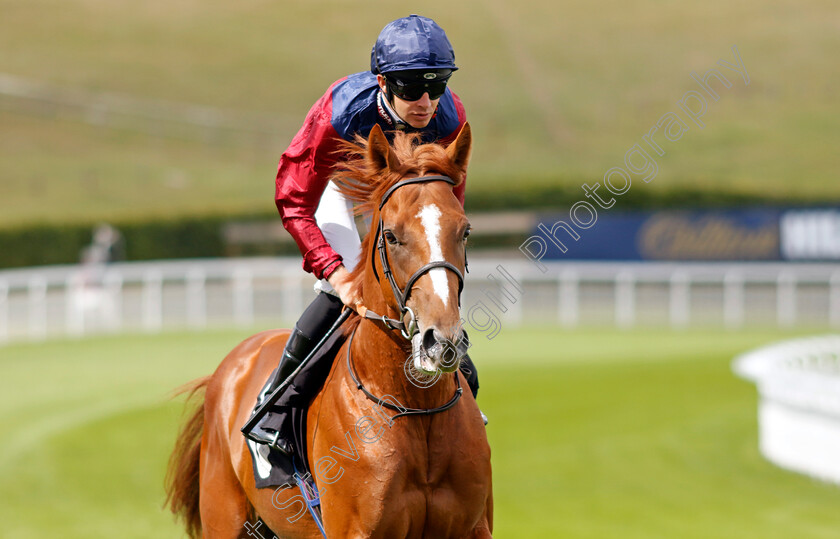 Rathgar-0002 
 RATHGAR (Charles Bishop)
Goodwood 27 Aug 2022 - Pic Steven Cargill / Racingfotos.com