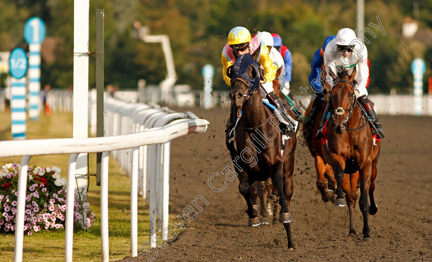 Albanderi-0001 
 ALBANDERI (left, Jason Watson) leads ILLUMINED (right)
Kempton 7 Aug 2019 - Pic Steven Cargill / Racingfotos.com