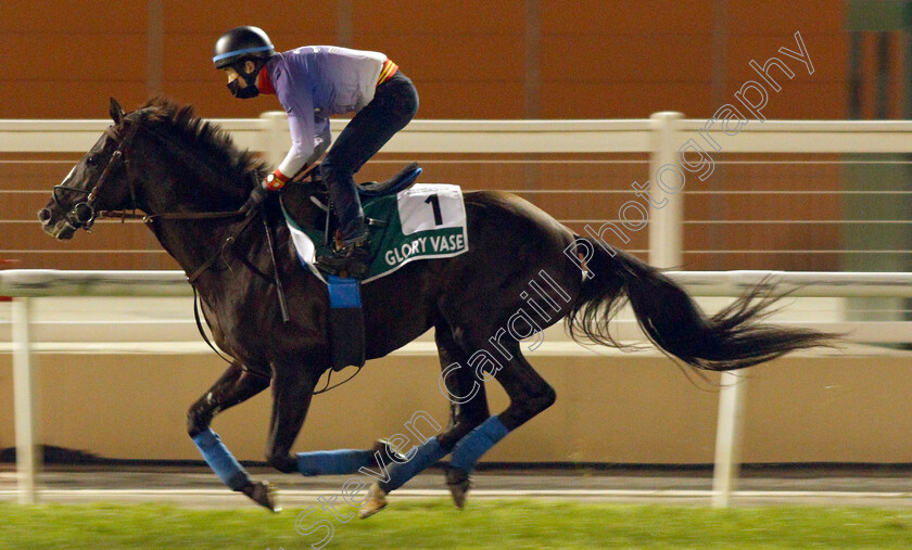 Glory-Vase-0001 
 GLORY VASE training for the Sheema Classic
Meydan, Dubai, 23 Mar 2022 - Pic Steven Cargill / Racingfotos.com