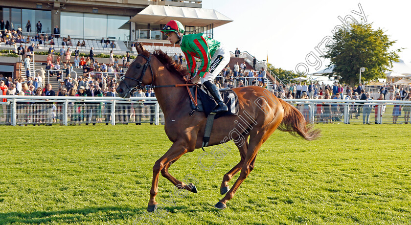 Bascule-0001 
 BASCULE (George Rooke)
Goodwood 26 Aug 2022 - Pic Steven Cargill / Racingfotos.com