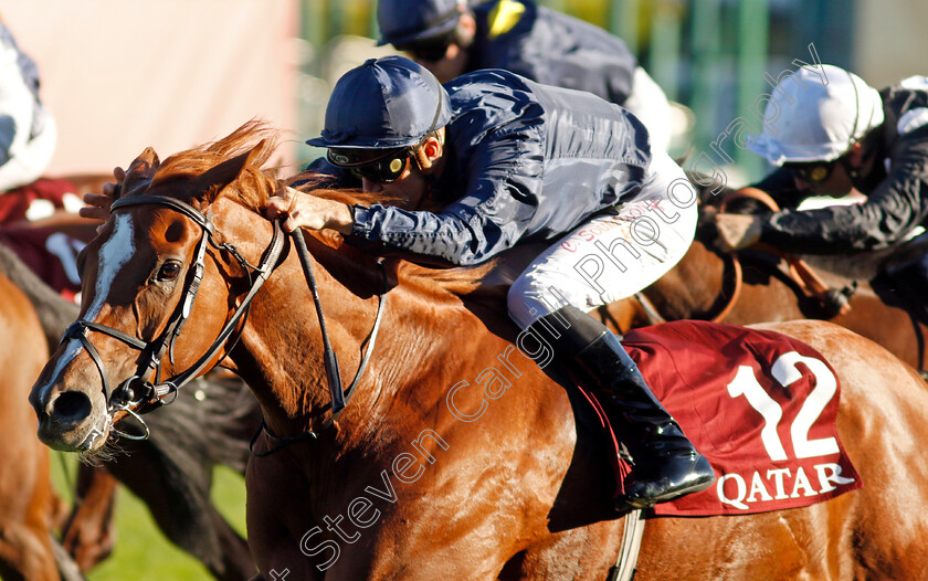 Grateful-0002 
 GRATEFUL (Christophe Soumillon) wins The Qatar Prix de Royallieu 
Longchamp 5 Oct 2024 - Pic Steven Cargill / Racingfotos.com