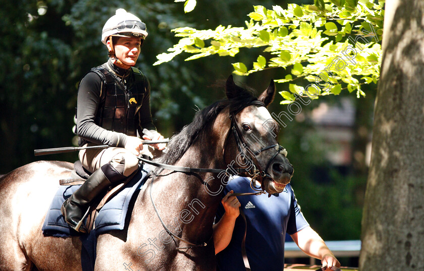 Roaring-Lion-0003 
 ROARING LION (Kieran O'Neill) before working on the racecourse
Newmarket 30 Jun 2018 - Pic Steven Cargill / Racingfotos.com