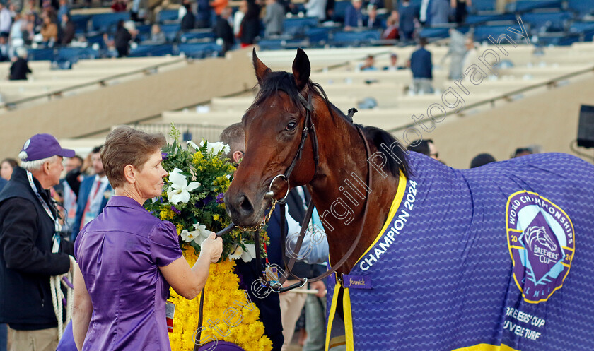 Henri-Matisse-0008 
 HENRI MATISSE winner of the Breeders' Cup Juvenile Turf
Del Mar USA 1 Nov 2024 - Pic Steven Cargill / Racingfotos.com