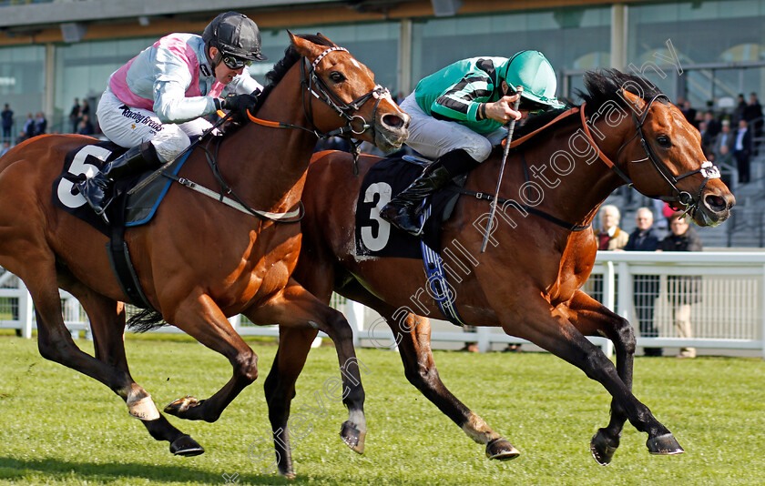 Century-Dream-0004 
 CENTURY DREAM (right, William Buick) beats CRAZY HORSE (left) in The Celebrating The Commonwealth Paradise Stakes Ascot 2 May 2018 - Pic Steven Cargill / Racingfotos.com