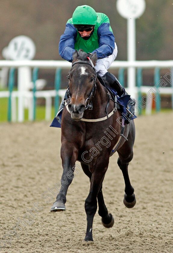 Ford-Madox-Brown-0006 
 FORD MADOX BROWN (Daniel Tudhope) wins The Ladbrokes Novice Auction Stakes
Lingfield 19 Dec 2020 - Pic Steven Cargill / Racingfotos.com