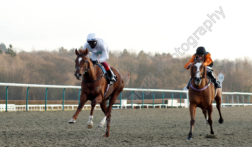 Wissahickon-0003 
 WISSAHICKON (Frankie Dettori) beats BIG COUNTRY (right) in The Betway Winter Derby Trial Stakes
Lingfield 2 Feb 2019 - Pic Steven Cargill / Racingfotos.com