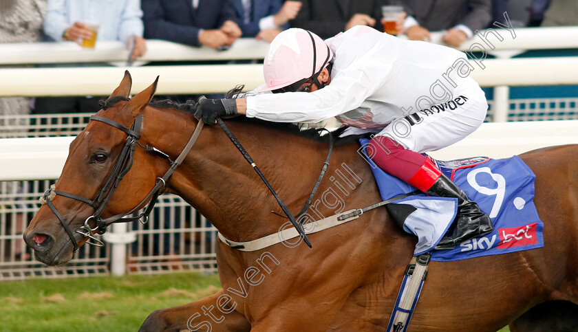 Absurde-0006 
 ABSURDE (Frankie Dettori) wins The Sky Bet Ebor
York 26 Aug 2023 - Pic Steven Cargill / Racingfotos.com