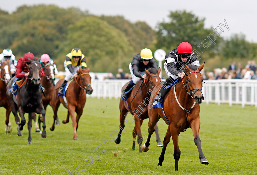 Herecomesthesun-0004 
 HERECOMESTHESUN (Edward Greatrex) wins The British EBF Quidhampton Maiden Fillies Stakes Div1 Salisbury 7 Sep 2017 - Pic Steven Cargill / Racingfotos.com