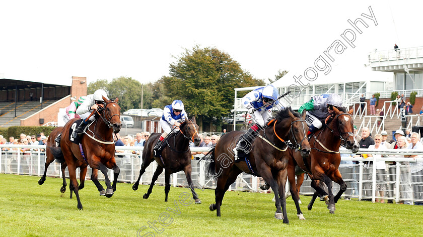 Princess-Power-0001 
 PRINCESS POWER (Andrew Mullen) wins The Racegoers Club 50th Anniversary Fillies Nursery
Goodwood 4 Sep 2018 - Pic Steven Cargill / Racingfotos.com