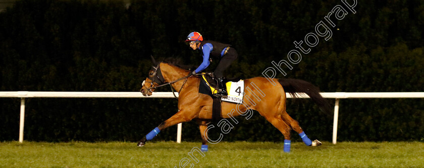 Lord-North-0001 
 LORD NORTH (Frankie Dettori) training for the Dubai Turf
Meydan, Dubai, 23 Mar 2023 - Pic Steven Cargill / Racingfotos.com