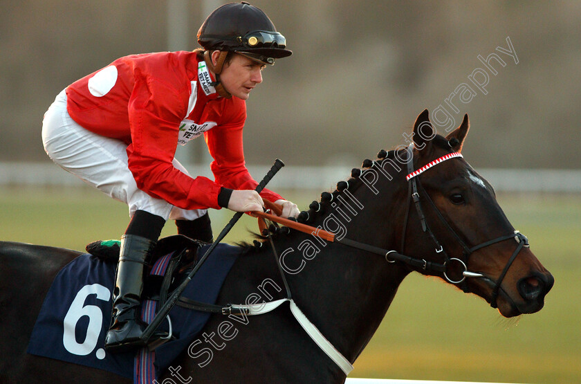 Cardano-0001 
 CARDANO (Kieran O'Neill)
Wolverhampton 26 Feb 2019 - Pic Steven Cargill / Racingfotos.com