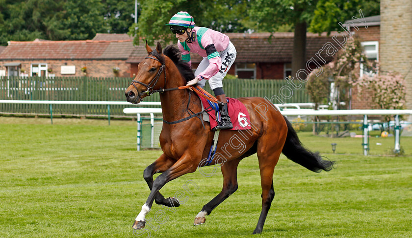 Papa-Cocktail 
 PAPA COCKTAIL (David Egan)
Haydock 28 May 2022 - Pic Steven Cargill / Racingfotos.com