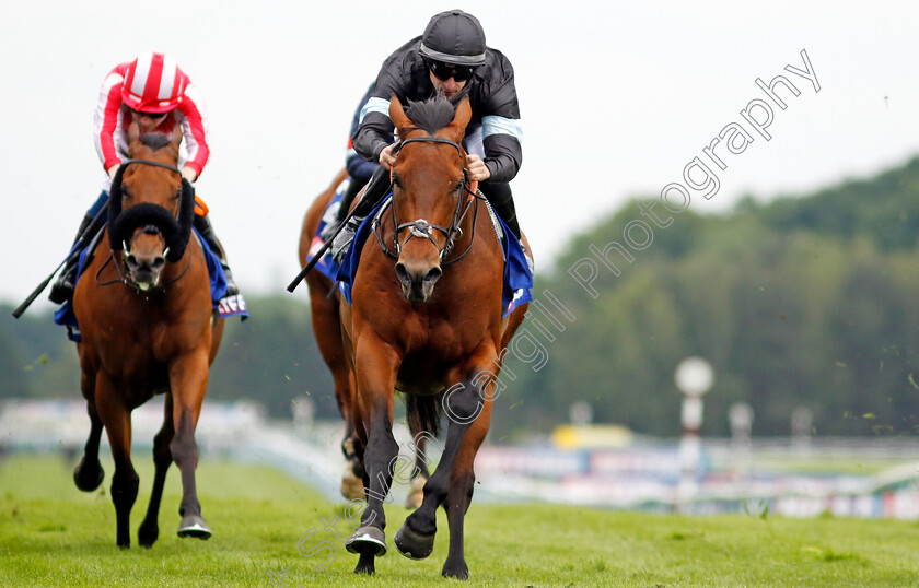 Kerdos-0002 
 KERDOS (Richard Kingscote) wins The Betfred Temple Stakes
Haydock 25 May 2024 - Pic Steven Cargill / Racingfotos.com