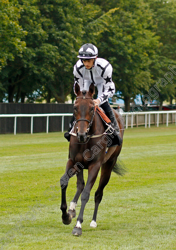 Frankel s-Storm-0001 
 FRANKEL'S STORM (Harry Bentley)
Newmarket 13 Jul 2019 - Pic Steven Cargill / Racingfotos.com