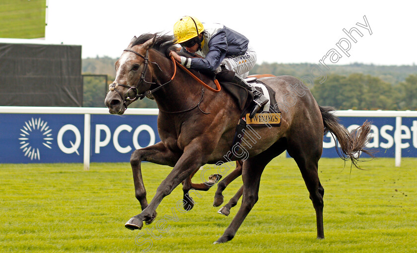 Speak-In-Colours-0005 
 SPEAK IN COLOURS (Ryan Moore) wins The Twinings Novice Auction Stakes Div1 Ascot 8 Sep 2017 - Pic Steven Cargill / Racingfotos.com