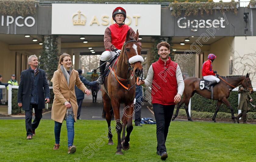 Marinero-0005 
 MARINERO (David Maxwell) after The Colts & Fillies Club Open Hunters Chase Ascot 25 Mar 2018 - Pic Steven Cargill / Racingfotos.com