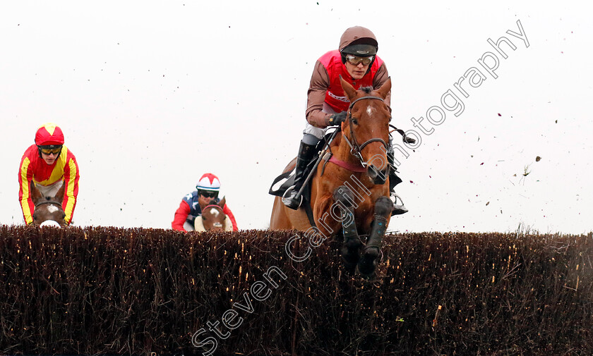 In-d Or-0004 
 IN D'OR (David Maxwell) wins The Betmgm Handicap Chase
Ascot 18 Jan 2025 - Pic Steven Cargill / Racingfotos.com