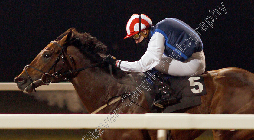 Fortune-Finder-0005 
 FORTUNE FINDER (Hector Crouch) wins The tote.co.uk Now Never Beaten By SP Handicap Div2
Chelmsford 27 Nov 2020 - Pic Steven Cargill / Racingfotos.com