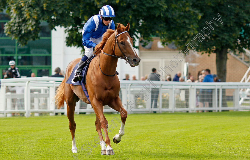 Moraweth-0001 
 MORAWETH (Jim Crowley)
Yarmouth 14 Jul 2021 - Pic Steven Cargill / Racingfotos.com