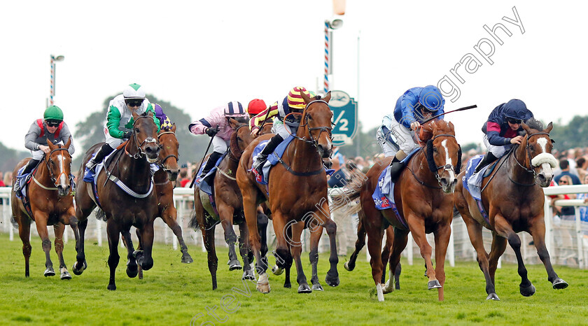 Wild-Lion-0006 
 WILD LION (2nd right, Kieran O'Neill) beats GWEEDORE (centre) in The Sky Bet Handicap
York 17 Jun 2023 - Pic Steven Cargill / Racingfotos.com