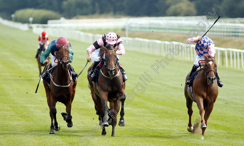 Sea-Fox-0002 
 SEA FOX (centre, Adam Kirby) beats REBEL ASSAULT (left) and HORSTED KEYNES (right) in The Oilfield Insurance Agencies Classified Stakes
Lingfield 25 Jul 2018 - Pic Steven Cargill / Racingfotos.com