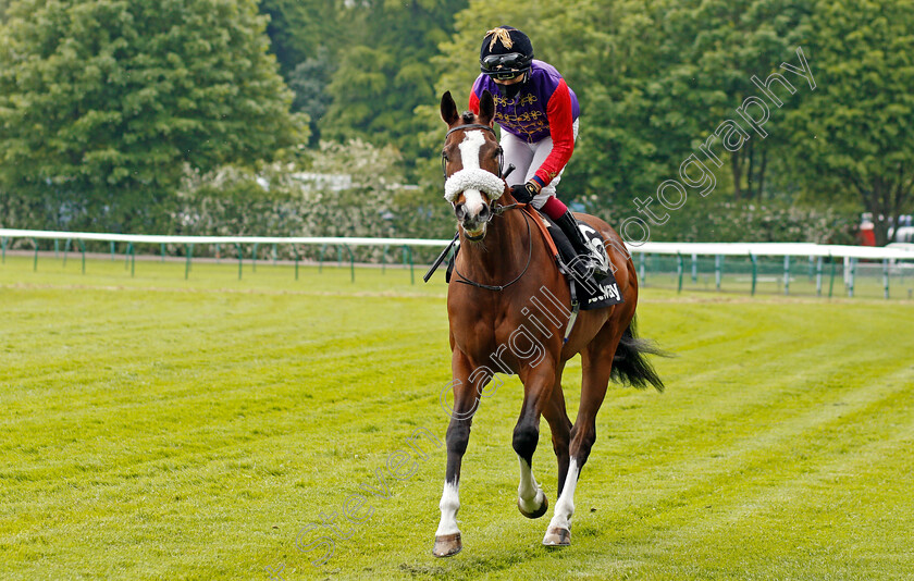 King s-Lynn-0001 
 KING'S LYNN (Oisin Murphy) winner of The Betway Achilles Stakes
Haydock 29 May 2021 - Pic Steven Cargill / Racingfotos.com