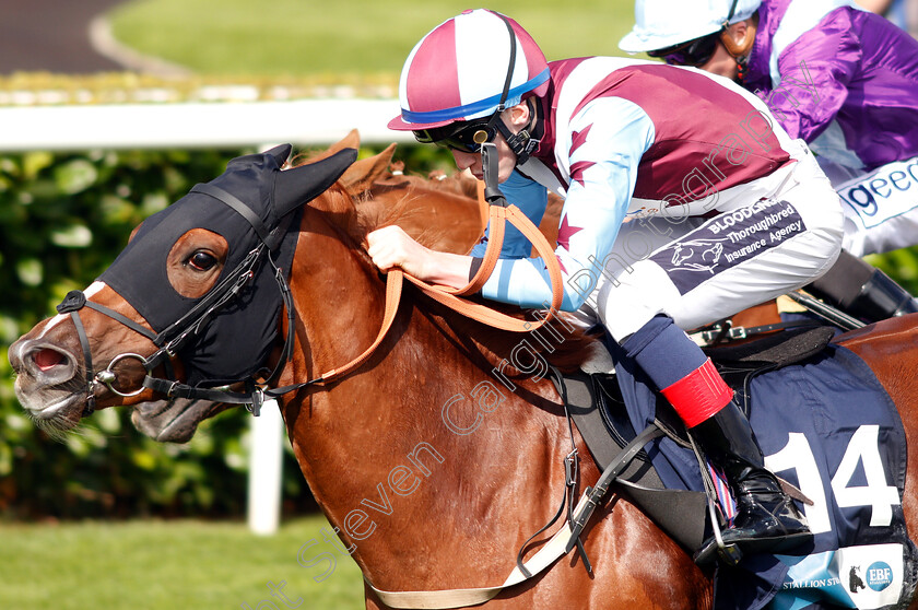 Stay-Classy-0005 
 STAY CLASSY (David Egan) wins The British Stallion Studs EBF Carrie Red Fillies Nursery
Doncaster 13 Sep 2018 - Pic Steven Cargill / Racingfotos.com