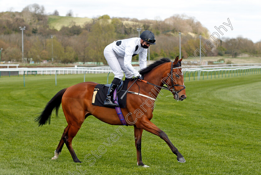 Amalfi-Bay-0001 
 AMALFI BAY (Hector Crouch)
Nottingham 7 Apr 2021 - Pic Steven Cargill / Racingfotos.com