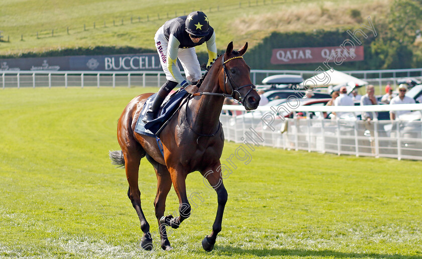 Virtue-Patience-0001 
 VIRTUE PATIENCE (Robert Havlin)
Goodwood 30 Jul 2024 - Pic Steven Cargill / Racingfotos.com