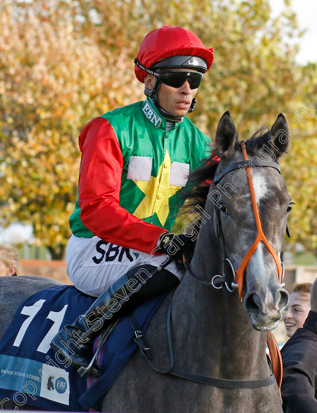 Rousay 
 ROUSAY (Sean Levey)
Newmarket 30 Oct 2021 - Pic Steven Cargill / Racingfotos.com