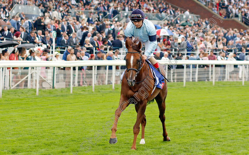 Parachute-0001 
 PARACHUTE (Andrea Atzeni)
York 21 Aug 2021 - Pic Steven Cargill / Racingfotos.com