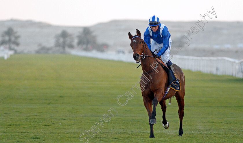 Afaak-0001 
 AFAAK (Jim Crowley)
Bahrain 25 Nov 2019 - Pic Steven Cargill / Racingfotos.com