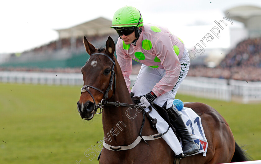 Sharjah-0001 
 SHARJAH (Paul Townend) Cheltenham 13 Mar 2018 - Pic Steven Cargill / Racingfotos.com