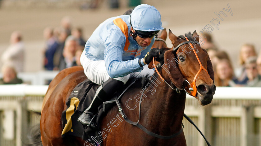 Ziggy s-Phoenix-0004 
 ZIGGY'S PHOENIX (Sean Levey) wins The My Pension Expert Fillies Handicap
Newmarket 23 Oct 2024 - Pic Steven Cargill / Racingfotos.com