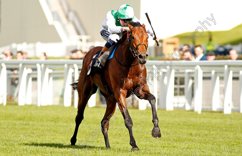 Mountain-Angel-0005 
 MOUNTAIN ANGEL (David Egan) wins The Manny Mercer Apprentice Handicap Ascot 2 May 2018 - Pic Steven Cargill / Racingfotos.com