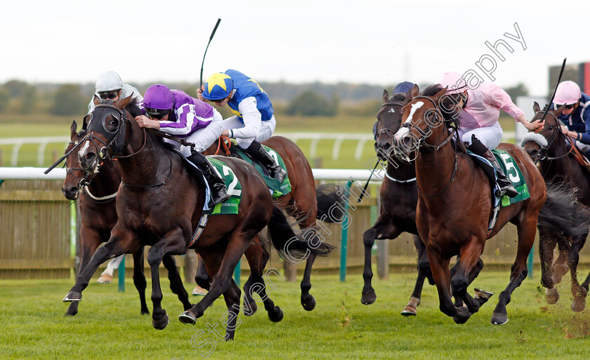 U-S-Navy-Flag-0002 
 U S NAVY FLAG (Seamie Heffernan) beats FLEET REVIEW (right) in The Juddmonte Middle Park Stakes Newmarket 30 Sep 2017 - Pic Steven Cargill / Racingfotos.com