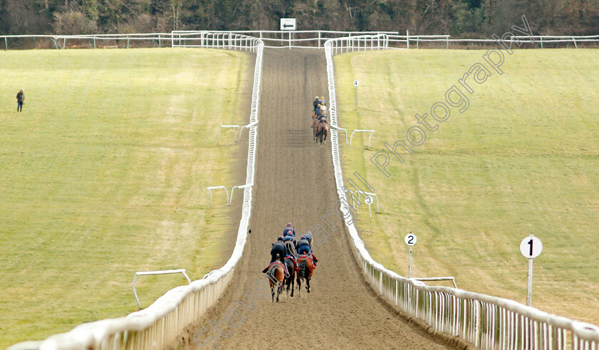 Newmarket-0018 
 Strings of racehorses cantering on Warren Hill Newmarket 23 Mar 2018 - Pic Steven Cargill / Racingfotos.com