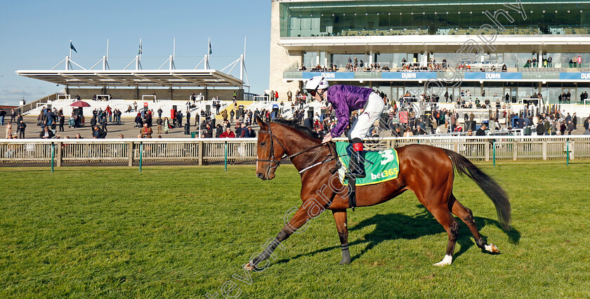 California-Dreamer-0001 
 CALIFORNIA DREAMER (David Egan)
Newmarket 11 Oct 2024 - Pic Steven Cargill / Racingfotos.com