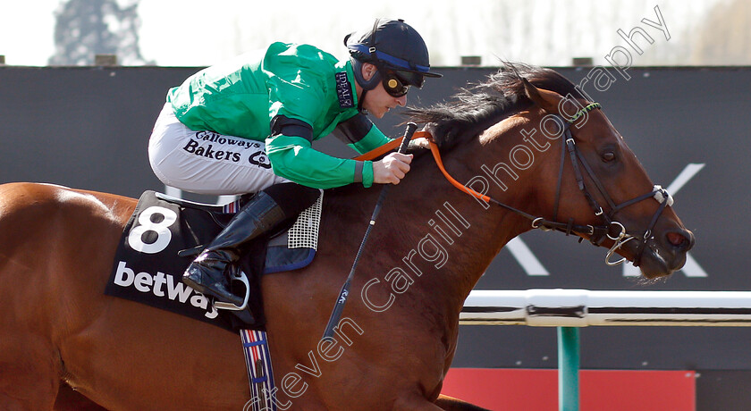 Kachy-0009 
 KACHY (Richard Kingscote) wins The Betway All-Weather Sprint Championships Stakes
Lingfield 19 Apr 2019 - Pic Steven Cargill / Racingfotos.com