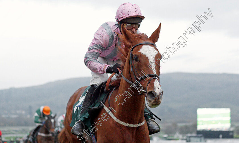 Urban-Artist-0003 
 URBAN ARTIST (Nico de Boinville) wins The Karndean Designflooring Mares' Standard Open National Hunt Flat Race
Cheltenham 16 Nov 2019 - Pic Steven Cargill / Racingfotos.com