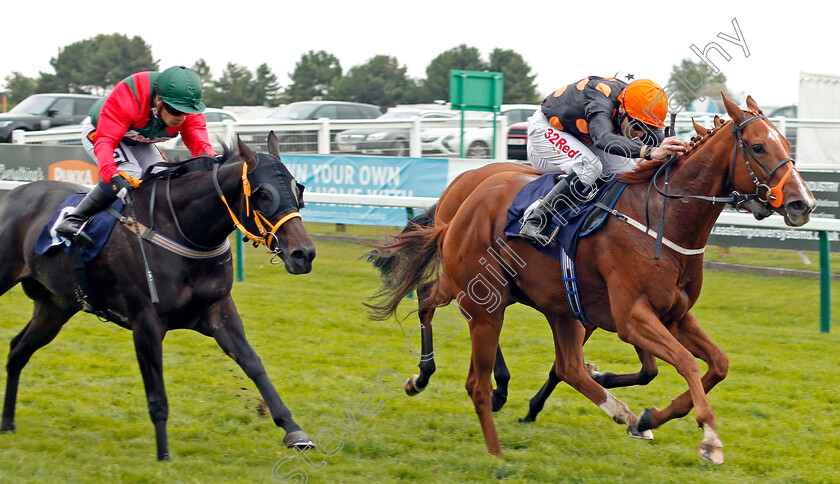 Equimou-0002 
 EQUIMOU (Jamie Spencer) beats ARZAAK (left) in The Stanley Threadwell Memorial Handicap Yarmouth 20 Sep 2017 - Pic Steven Cargill / Racingfotos.com