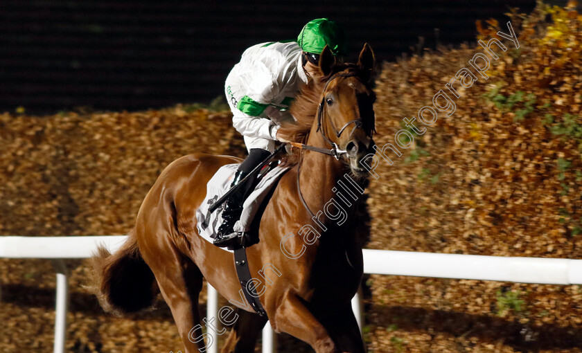 Zachary-Hickes-0001 
 ZACHARY HICKES (Jack Mitchell)
Kempton 4 Dec 2024 - Pic Steven Cargill / Racingfotos.com