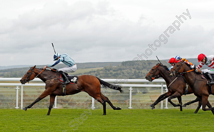 Hortzadar-0005 
 HORTZADAR (James Doyle) wins The Download The Tote Placepot App Handicap
Goodwood 23 Sep 2020 - Pic Steven Cargill / Racingfotos.com