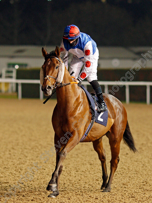 Sha-La-La-La-Lee-0001 
 SHA LA LA LA LEE (Richard Kingscote)
Wolverhampton 5 Dec 2020 - Pic Steven Cargill / Racingfotos.com