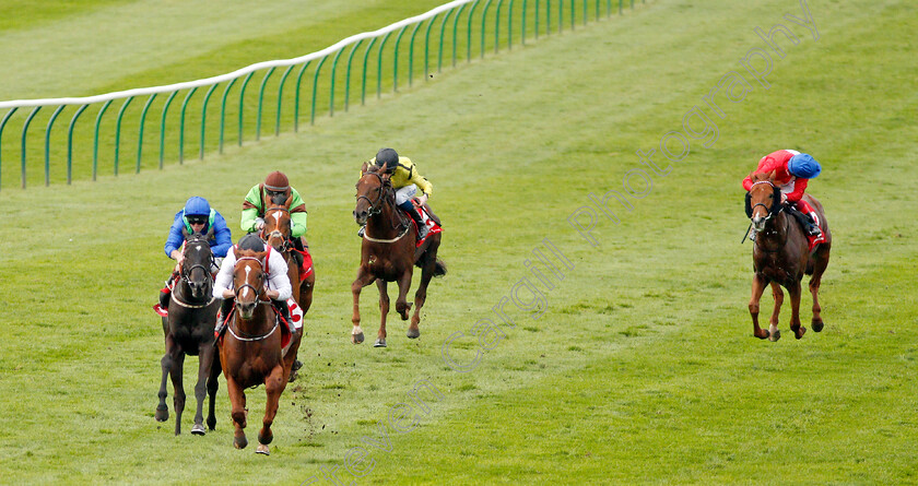 Convict-0001 
 CONVICT (Tom Marquand) wins The Matchbook EBF Future Stayers Nursery 
Newmarket 23 Oct 2019 - Pic Steven Cargill / Racingfotos.com