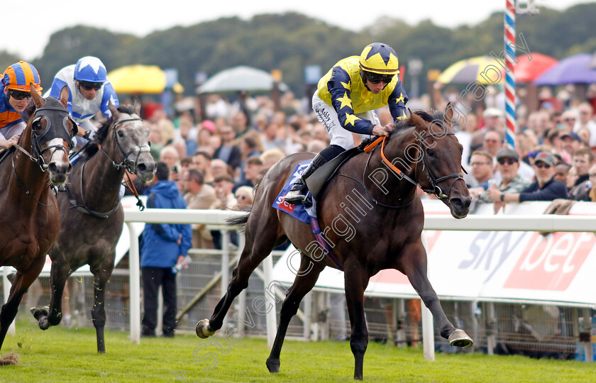 Tabletalk-0003 
 TABLETALK (Rossa Ryan) wins The Sky Bet Melrose Stakes
York 24 Aug 2024 - Pic Steven Cargill / Racingfotos.com