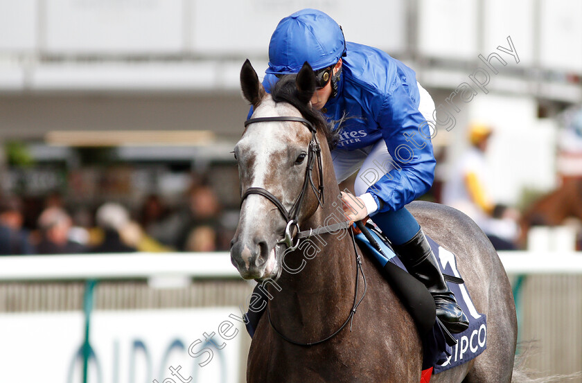 Vintager-0001 
 VINTAGER (William Buick)
Newmarket 4 May 2019 - Pic Steven Cargill / Racingfotos.com